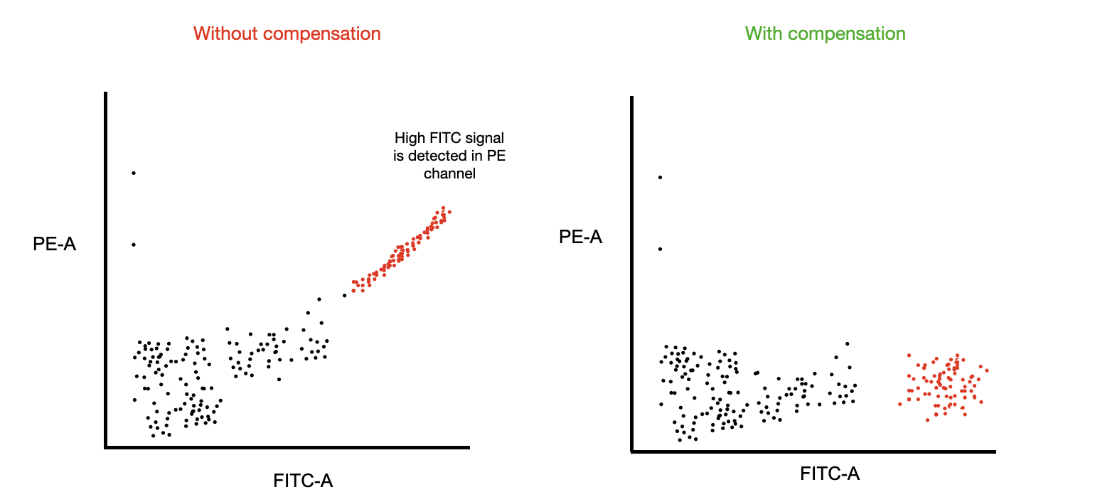 Before and after scatter plot showing how compensation alters data