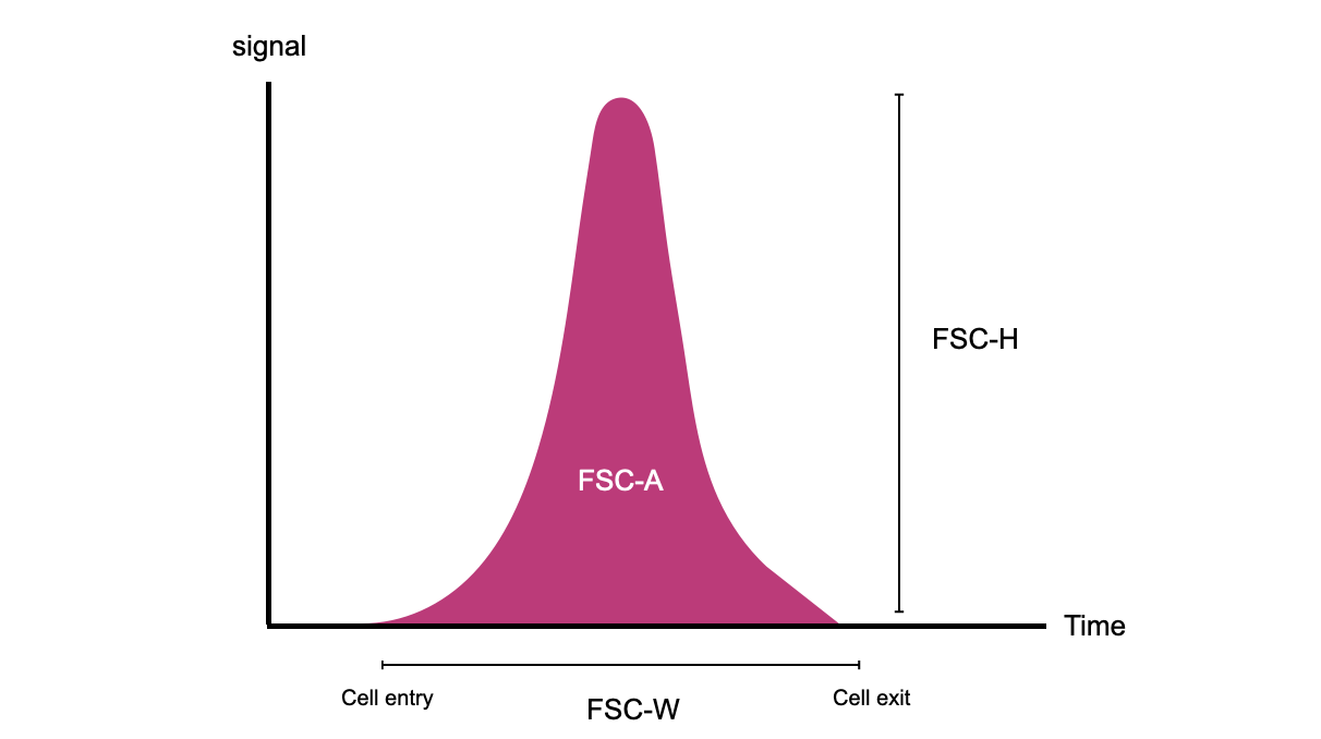 A schematic of what a flow cytometry signal look like 